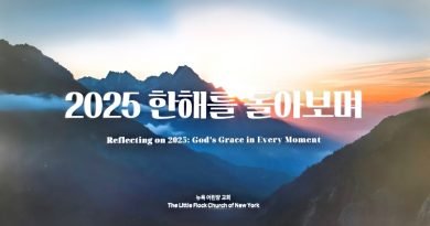 2025년을 돌아보며
